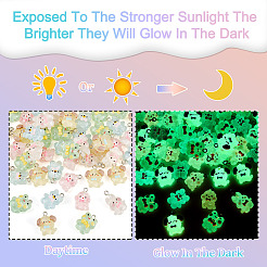 50Pcs 5 Styles Luminous Transparent Resin Pendants&nbsp;RESI-TA0005-20