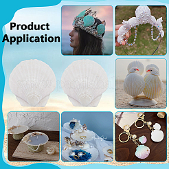 80Pcs Natural Shell Ornaments&nbsp;DIY-WA0001-03
