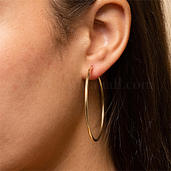 304 Stainless Steel Hoop Earrings for Women&nbsp;EJEW-X0015-02G-02