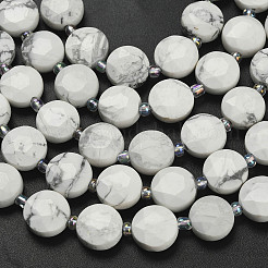 Natural Howlite Beads Strands&nbsp;G-F812-C08-01