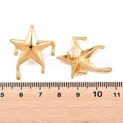 Star 304 Stainless Steel Stud Earrings for Women&nbsp;EJEW-F406-04G