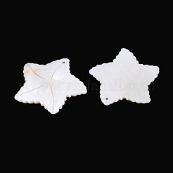 Natural Freshwater Shell Carved Pendants&nbsp;SHEL-T020-64