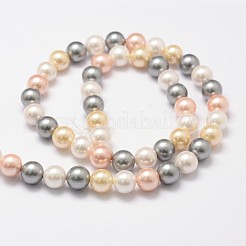 Shell Pearl Bead Strands&nbsp;BSHE-L017-17