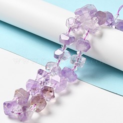 Natural Amethyst Beads Strands&nbsp;G-E578-01