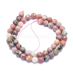 Natural Plum Blossom Jasper Beads Strands&nbsp;G-K310-A14-8mm