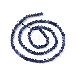 Natural Sodalite Beads Strands&nbsp;X-G-C009-A07