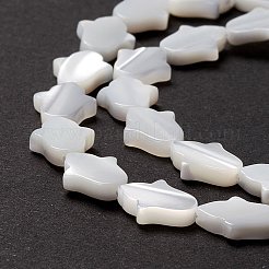 Natural Trochid Shell/Trochus Shell Beads&nbsp;SSHEL-O001-23A