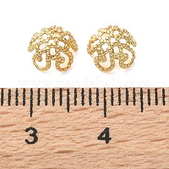 Brass Bead Caps&nbsp;KK-C260-19B-G