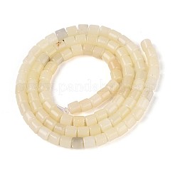 Natural White African Opal Beads Strands&nbsp;G-T141-85B-01
