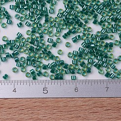 MIYUKI Delica Beads&nbsp;SEED-JP0008-DB0919