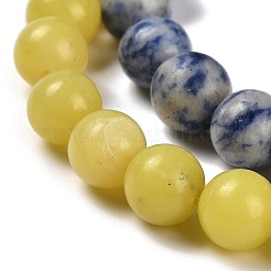 Natural Blue Spot Jasper/Flower Amazonite/Labradorite/Sesame Jasper/Glass Beads Strands&nbsp;G-P562-C-03