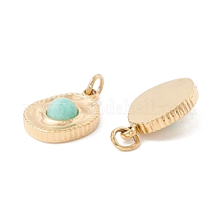 Natural Gemstone Charms&nbsp;STAS-C048-02G