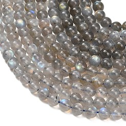 Natural Labradorite Beads Strands&nbsp;G-G448-7.5mm-04