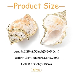 5Pcs Natural Sea Shell Big Pendants with Golden Brass Edge&nbsp;BSHE-YW0001-16
