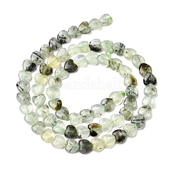 Natural Prehnite Beads Strands&nbsp;G-P575-C19-6mm
