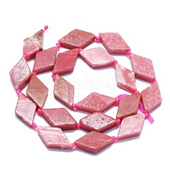 Natural Argentina Rhodonite Beads Strands&nbsp;G-K245-E04-A02