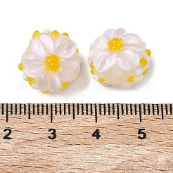 Handmade Lampwork Enamel Beads&nbsp;LAMP-Z020-05C