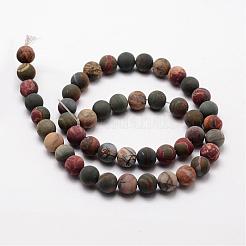 Natural Polychrome Jasper/Picasso Stone/Picasso Jasper Frosted Bead Strands&nbsp;G-O155-03B-8mm
