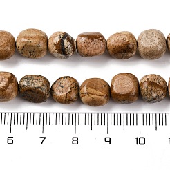 Natural Picture Jasper Beads Strands&nbsp;G-G146-A01-02