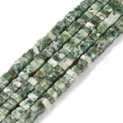 Natural Green Spot Jasper Beads Strands&nbsp;G-I394-A04