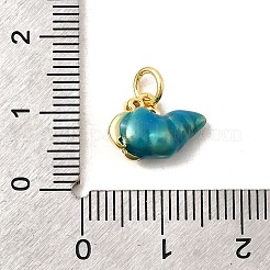 Brass Micro Pave Cubic Zirconia Charms&nbsp;KK-C113-09G