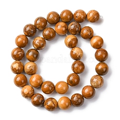 Natural Alashan Agate Beads Strands&nbsp;G-H343-D05-12mm-C