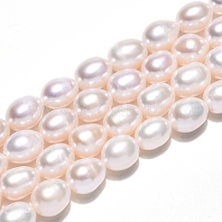 Natural Cultured Freshwater Pearl Beads Strands&nbsp;PEAR-N012-23C-01