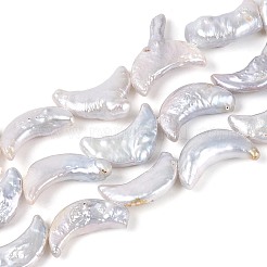 Natural Baroque Keshi Pearl Beads Strands&nbsp;PEAR-N020-P06-01A