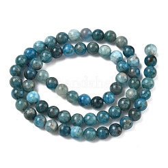 Natural Apatite Beads Strands&nbsp;G-F816-A01-01A