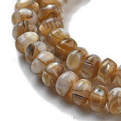 Natural Freshwater Shell Beads Strands&nbsp;BSHE-G038-05
