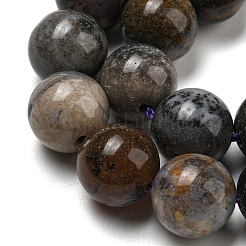 Natural Dendritic Jasper Beads Strands&nbsp;G-R494-A23-04