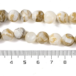 Natural Freshwater Shell Beads Strands&nbsp;BSHE-S304-03