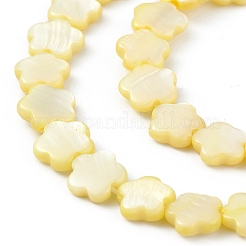Natural Freshwater Shell Dyed Beads Strands&nbsp;SHEL-K001-001C