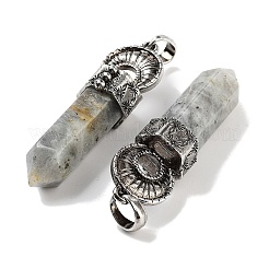 Natural Labradorite Pointed Big Pendants&nbsp;G-Q163-02AS-07