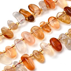 Natural Carnelian Beads Strands&nbsp;G-Z091-A08