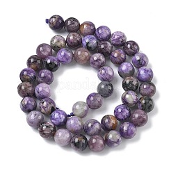 Natural Charoite Beads Strands&nbsp;G-C270-O02-05