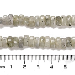 Natural Labradorite Beads Strands&nbsp;G-Q167-B19-01