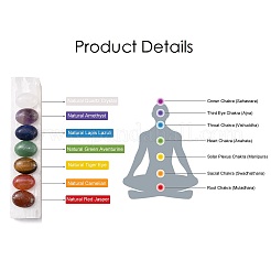Chakra Natural Selenite Display Decorations&nbsp;G-G973-10