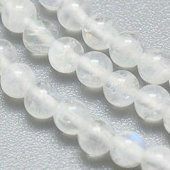 Natural Rainbow Moonstone Beads Strands&nbsp;X-G-A177-04-23
