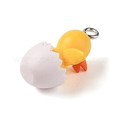 Opaque Resin Pendants&nbsp;RESI-S399-02