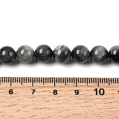 Natural Eagle Eye Stone Beads Strands&nbsp;G-G344-A05-8mm