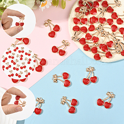 30Pcs Alloy Enamel Pendants&nbsp;ENAM-SC0006-95