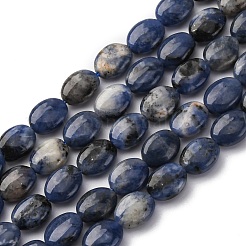 Natural Sodalite Beads Strands&nbsp;G-Z006-A39