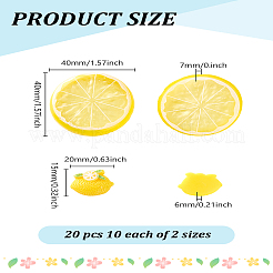 20Pcs 2 Styles Resin Cabochons&nbsp;RESI-LP0001-09