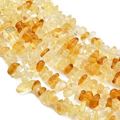 Glass Chip Beads Strands&nbsp;G-B160-A01