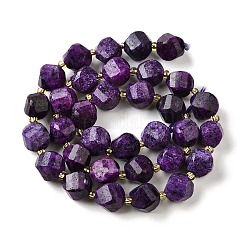 Natural Sesame Jasper Dyed Beads Strands&nbsp;G-U023-A01-03