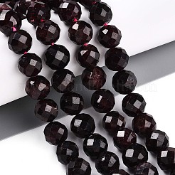 Natural Garnet Beads Strands&nbsp;G-S345-10mm-37