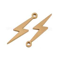 304 Stainless Steel Pendants&nbsp;STAS-L297-07G