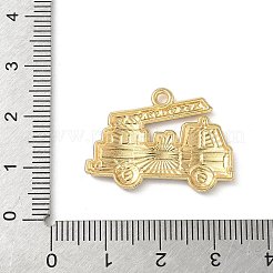 Alloy Enamel Pendants&nbsp;FIND-C074-01A