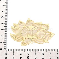 Iron Connector Charms&nbsp;IFIN-N013-02G